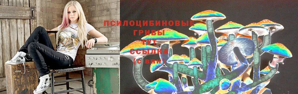 a pvp Алексеевка